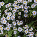 현자농장 이미지