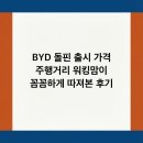 분당-388 | BYD 돌핀 출시 가격 주행거리 워킹맘이 꼼꼼하게 따져본 후기
