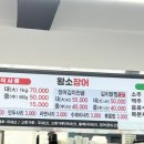 황소장어 이미지