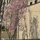 (주)대흥기업 | 9.) 급할 수록 돌아버린다