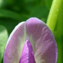 순천-79호 이미지