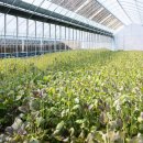 장거리농장 | 연천 유나네 자연숲 농장 오늘N 유정란 계란 택배 주문 정보