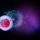 플레이 사이언스 이미지