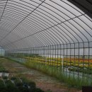 축현1리 이미지