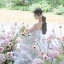 무이 플라워디렉팅 가성비 추천 예예유어무드 내돈내산 짝꿍할인 공유