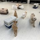 멍스 스쿨 이미지