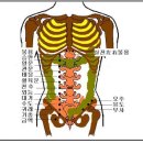 여인들의 자궁근종과 암... 정규대학교 SCU 한의대에 입학하면 안전합니다. 비정규 미국한의대에 입학하면 위험합니다. www.scukorea.com 이미지