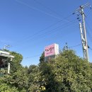 갱이농장 | 포토존 가득 제주 산방산 뷰 카페 마노르블랑