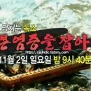 화천가시오갈피농장 이미지