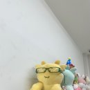 태평양수산회세꼬시 이미지