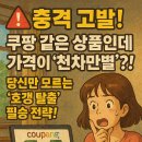 당신의식욕을판매합니다 | ⚡️충격 고발! 쿠팡 같은 상품인데 가격이 '천차만별'?! 당신만 모르는 '호갱 탈출' 필승 전략!