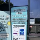 ㈜강서원예조경 | [마곡] 서울식물원 피크닉 후기(+기후동행카드할인, 씨앗 박물관)