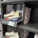 영지건강백세 | 한 치 앞도 알 수 없는