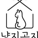 온천장고양이 이미지