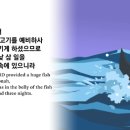 그리다시스 이미지