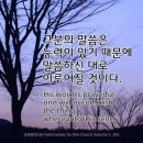 동해관 네이버블로그