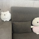 이가편한치과의원 네이버블로그