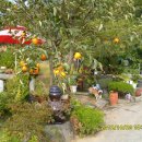 앞뜰농장 이미지