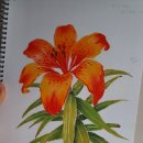 크레용화(오일파스텔) 이미지