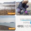 저도어촌체험휴양마을 이미지