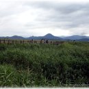 순천만의 추억 이미지