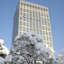 부산시청 이미지