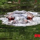 안하마을 이미지