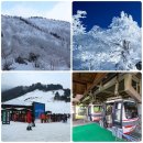 서산갯마을산악회, 제130차 정기산행(전북 무주 덕유산)...신년 눈꽃산행 이미지