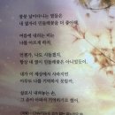 정우메디칼 | [도서 리뷰] “꿈”이라는 강박으로 서서히 잃어가는 나에 대한 따뜻한 위로 – 정수환 작가의 『아직은...