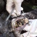 완산조각