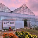 인지농장 이미지