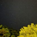 ACE펜션 | 전라도 아이와함께 가기좋은 풀빌라 펜션 담양 세인트오페이 펜션 내돈내산 후기 🌿