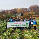 은빛소망요양원 이미지