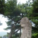 노송목장 이미지