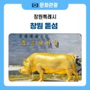 인터넷조류원 | 창원 가볼만한 곳, 배타고 10분 '돝섬' 여행 후기