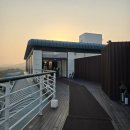 루브리카 | 제주 분위기 좋은 레스토랑 ㅣ 조선호텔 루브리카 디너 코스요리 후기