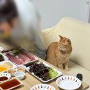 현수네횟집 이미지