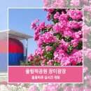 기계식주차장(올림픽공원역 3번) | 올림픽공원 장미광장 5월 실시간 개화 축제 들꽃마루 위치 가는법