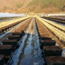 푸르매농장 이미지