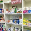 시지동물약국 이미지
