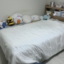 한일이불 - 남구 수영로219번길 39 | [내돈내산] 다리미언니X한일침구 텐셀 모달+냉감이불 짧은 후기