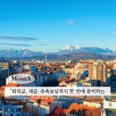경영인 정기보험, 법인이 선택해야 하는 이유와 활용법