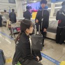 국가대표온새미로 이미지
