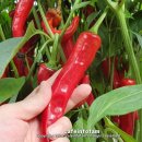 근수농장 이미지