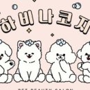 하비나 코지 이미지