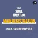 2024 서울마라톤(동마) 본접수: 9월 5일 10:00 이미지