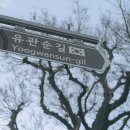 유관순길 Daum카페
