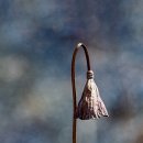 초막골 생태공원 이미지