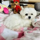 펜트하우스민박