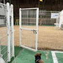 투데이풀 | 서울근교 대부도 대가족 펜션 애견동반 숙소 풀빌라 데이투데이 펜션